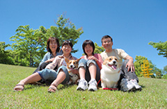 NHK教育テレビ「趣味悠々　犬と暮らしを楽しもう」