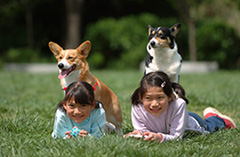 NHK教育テレビ「趣味悠々　犬と暮らしを楽しもう」